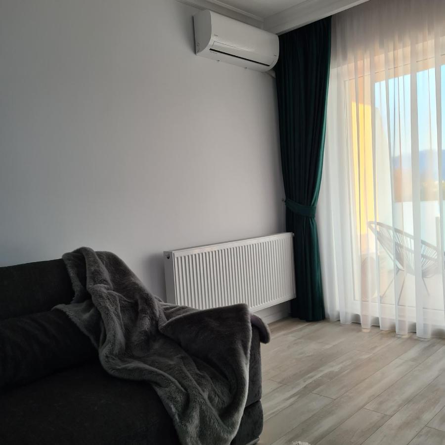 Panoramic Apartment Braşov Eksteriør billede